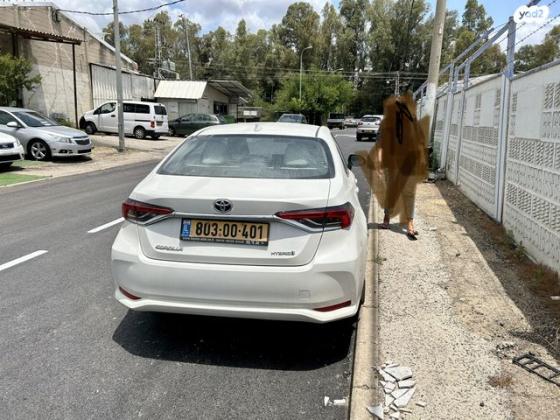 טויוטה קורולה הייבריד Style סדאן אוט' 1.8 (98 כ''ס) בנזין 2019 למכירה בצפת