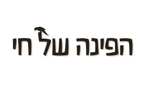 קוניורים האכלות יד מכל הסוגים ברמה גבוהה