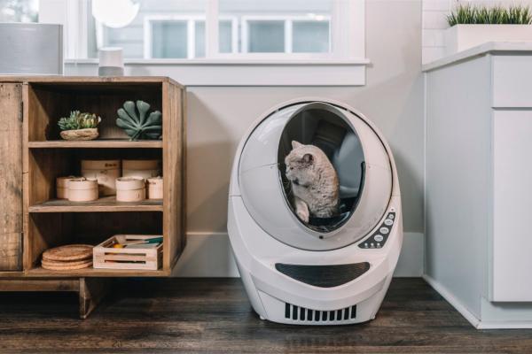 שירותים אוטומטיים לחתולים Litter Robot