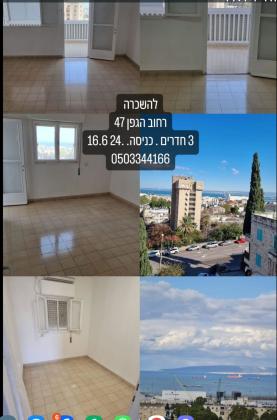דירה 3 חדרים להשכרה בחיפה | הגפן 45 | המושבה הגרמנית