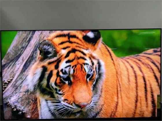 Sony BRAVIA XR 75 אינץ'