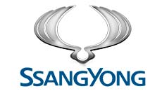 לוגו של סאניונג
